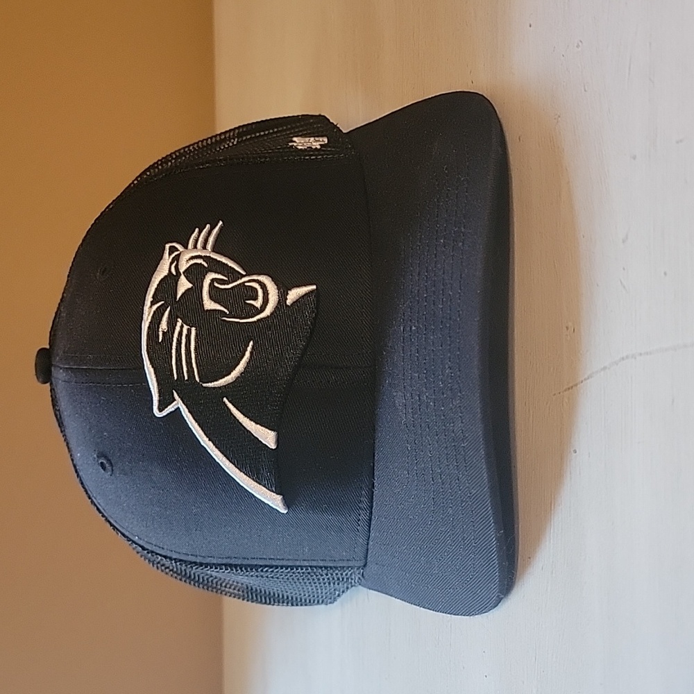 Carolina Panthers Snap Back hat